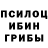 Галлюциногенные грибы Psilocybine cubensis ViteoK
