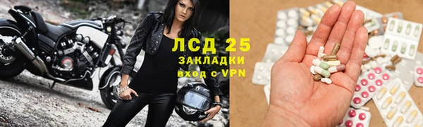 твердый Заводоуковск