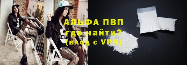 твердый Заводоуковск