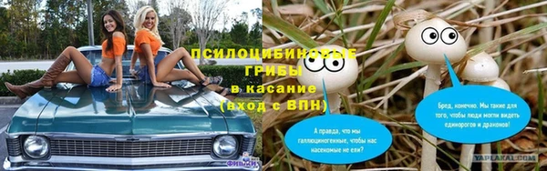 твердый Заводоуковск