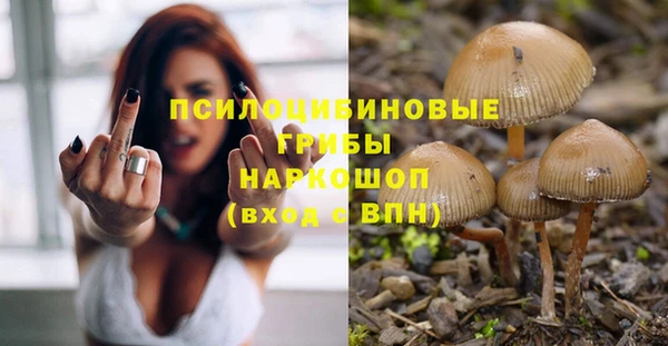 твердый Заводоуковск