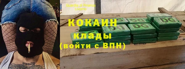 твердый Заводоуковск