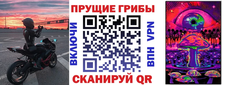 Купить где  Качканар  Галлюциногенные грибы GOLDEN TEACHER 